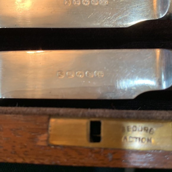 12 piece vintage Fruit or Fish and Knife set - Picture 6 of 7